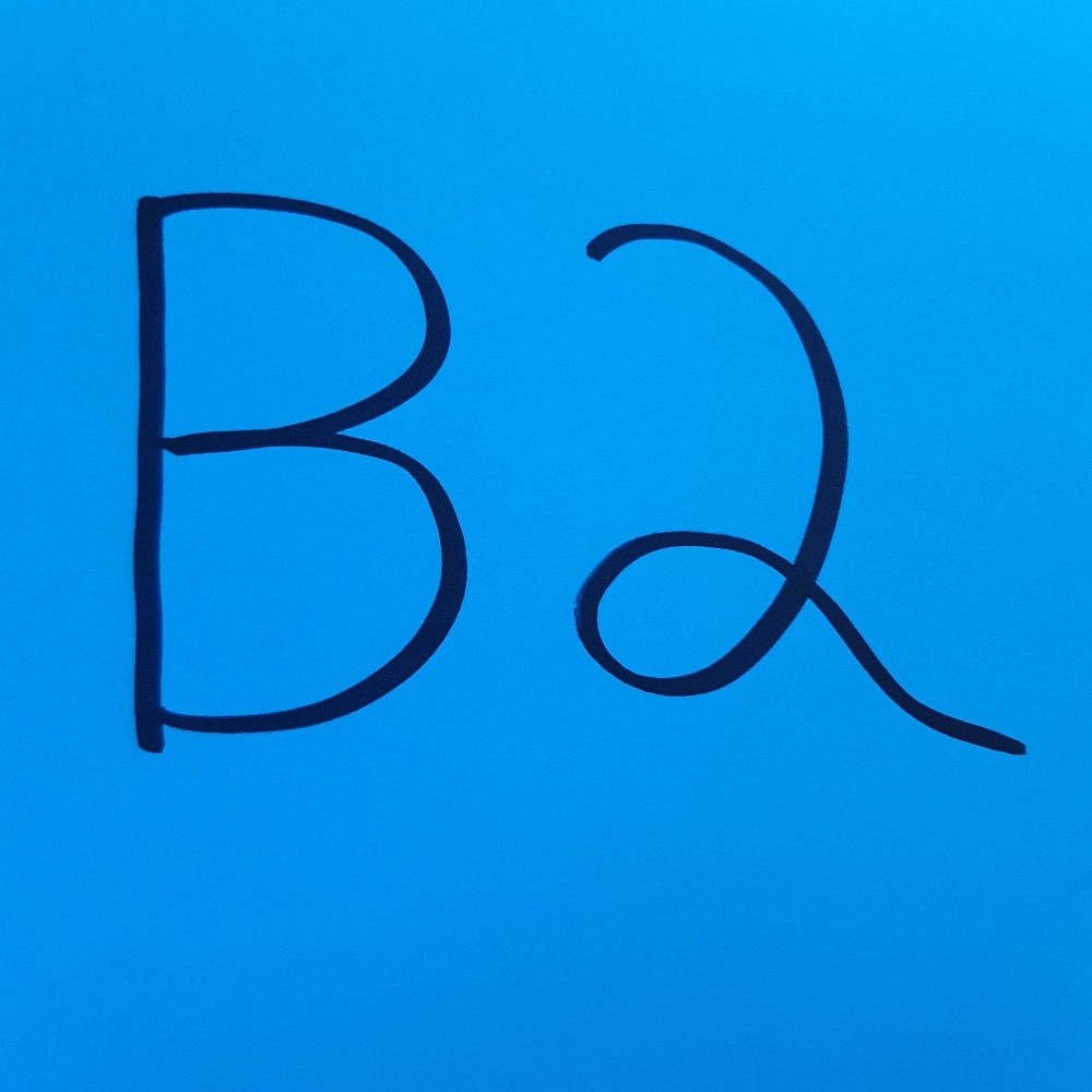 3 New Pair Suspenders - Picture 5 of 5